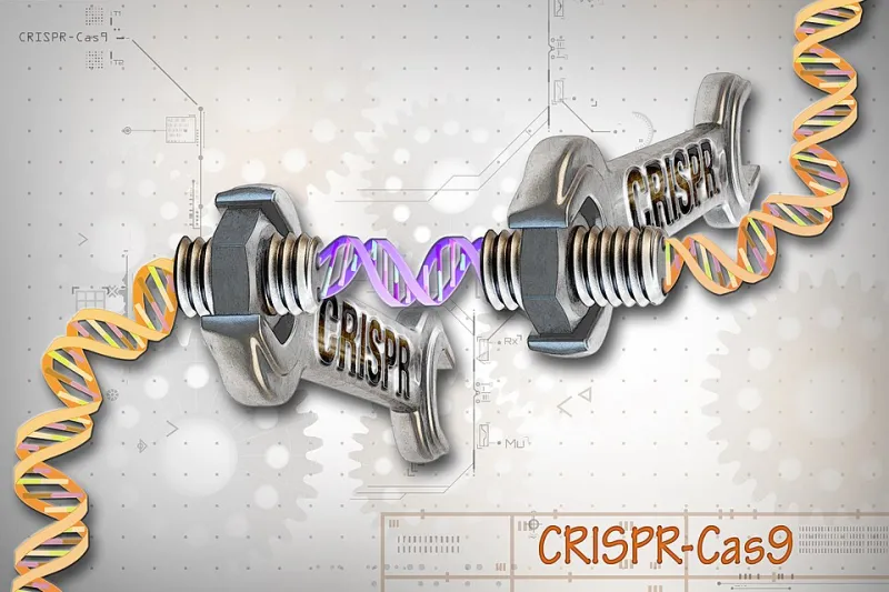 From Lab Bench to Market Shelf: The Hidden Gauntlet Facing CRISPR Commercialization